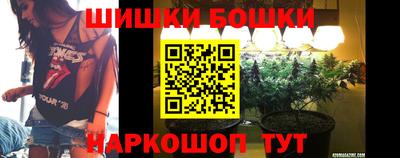 скорость Дубна