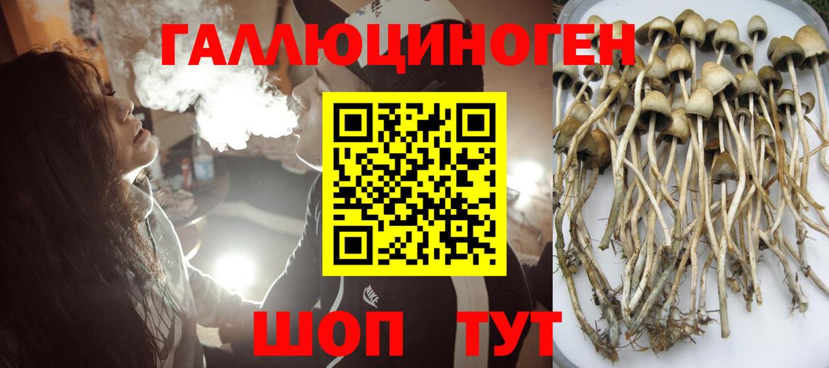 Галлюциногенные грибы GOLDEN TEACHER  Вход с VPN  Михайловск 