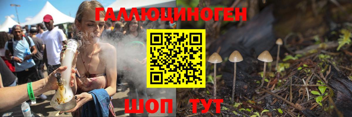 Псилоцибиновые грибы Magic Shrooms Михайловск